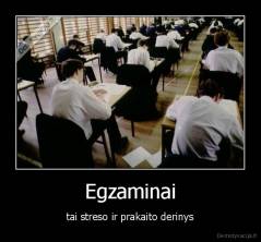 Egzaminai - tai streso ir prakaito derinys