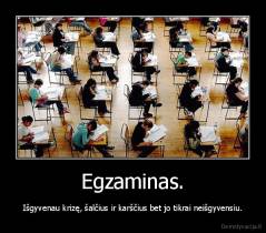 Egzaminas. - Išgyvenau krizę, šalčius ir karščius bet jo tikrai neišgyvensiu.