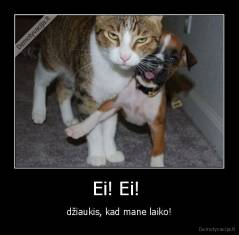 Ei! Ei!  - džiaukis, kad mane laiko!