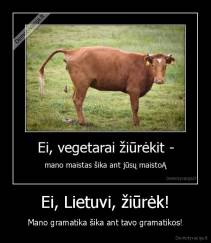 Ei, Lietuvi, žiūrėk! - Mano gramatika šika ant tavo gramatikos!