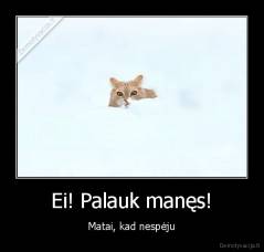 Ei! Palauk manęs! - Matai, kad nespėju