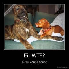 Ei, WTF? - Bičas, atsipalaiduok