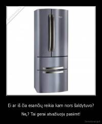 Ei ar iš čia esančių reikia kam nors šaldytuvo? - Ne,? Tai gerai atvažiuoju pasiimt!