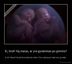 Ei, broli! Ką manai, ar yra gyvenimas po gimimo? - Ar tiki Mama?-Ne,aš tokias dalykais netikiu.Turiu galvoje,ar kada nors ją matei 