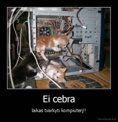 Ei cebra - laikas tvarkyti kompiuterį!!