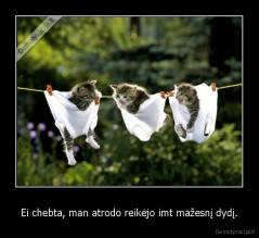 Ei chebta, man atrodo reikėjo imt mažesnį dydį. - 