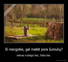 Ei mergytės, gal matėt pora šuniukų? - vienas nubėgo ten, kitas ten.