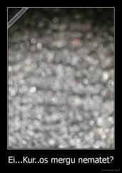 Ei...Kur..os mergu nematet? - 