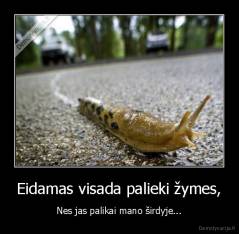 Eidamas visada palieki žymes, - Nes jas palikai mano širdyje...