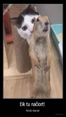 Eik tu načiort!  - Atrodo skaniai!