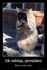 Eik velniop, pirmadieni - Nenoriu tavęs matyt!