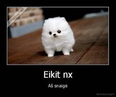 Eikit nx - Aš snaigė