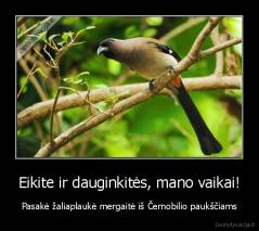 Eikite ir dauginkitės, mano vaikai! - Pasakė žaliaplaukė mergaitė iš Černobilio paukščiams