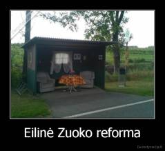 Eilinė Zuoko reforma - 