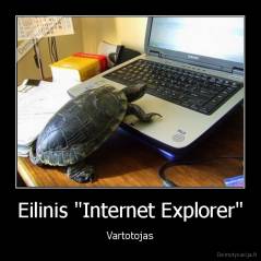 Eilinis "Internet Explorer" - Vartotojas