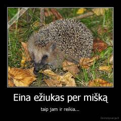 Eina ežiukas per mišką - taip jam ir reikia...