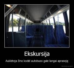 Ekskursija - Auklėtoja žino kodėl autobuso gale langai aprasoję
