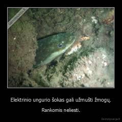 Elektrinio ungurio šokas gali užmušti žmogų. - Rankomis neliesti.