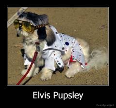 Elvis Pupsley - 