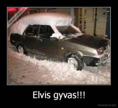 Elvis gyvas!!! - 