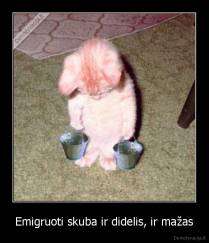 Emigruoti skuba ir didelis, ir mažas - 