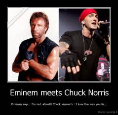 Eminem meets Chuck Norris - Eminem says : I'm not afraid!! Chuck answer's : I love the way you lie...