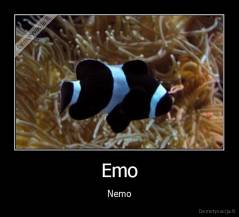 Emo - Nemo