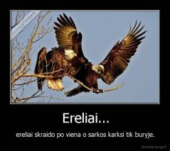 Ereliai... - ereliai skraido po viena o sarkos karksi tik buryje.