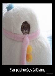 Esu pasiruošęs šalčiams - 