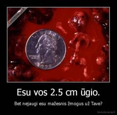 Esu vos 2.5 cm ūgio. - Bet nejaugi esu mažesnis žmogus už Tave?