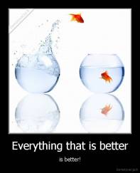 Everything that is better - is better!