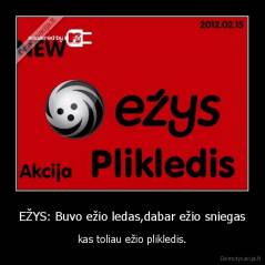 EŽYS: Buvo ežio ledas,dabar ežio sniegas - kas toliau ežio plikledis.