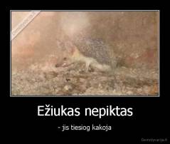 Ežiukas nepiktas - - jis tiesiog kakoja