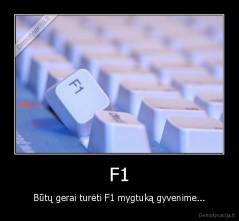 F1 - Būtų gerai turėti F1 mygtuką gyvenime...