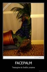 FACEPALM - Tiesiogine ta žodžio prasme