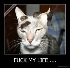 FUCK MY LIFE .... - 