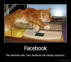 Facebook - Tiek Bandziau ieiti i tavo facebook bet niekaip nepavyko.
