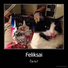 Feliksai - Čia tu?