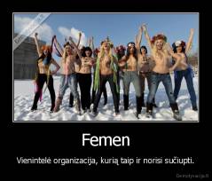 Femen - Vienintelė organizacija, kurią taip ir norisi sučiupti.