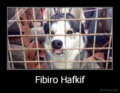 Fibiro Hafkif - 
