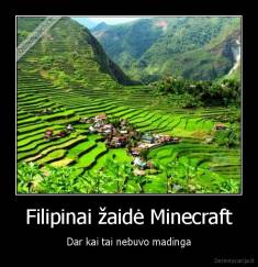 Filipinai žaidė Minecraft - Dar kai tai nebuvo madinga