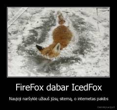 FireFox dabar IcedFox - Naujoji naršyklė užlauš jūsų sitemą, o internetas pakibs