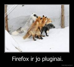 Firefox ir jo pluginai. - 