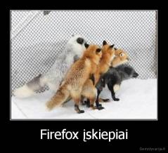 Firefox įskiepiai - 