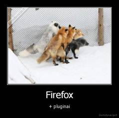 Firefox - + pluginai