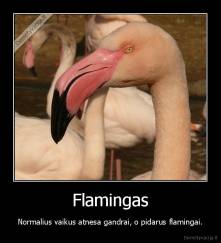 Flamingas - Normalius vaikus atnesa gandrai, o pidarus flamingai.