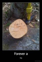 Forever a - log