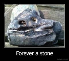 Forever a stone - 