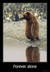 Forever alone - 