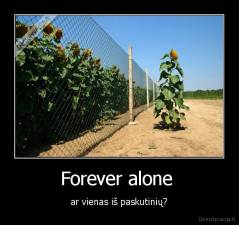 Forever alone  - ar vienas iš paskutinių?